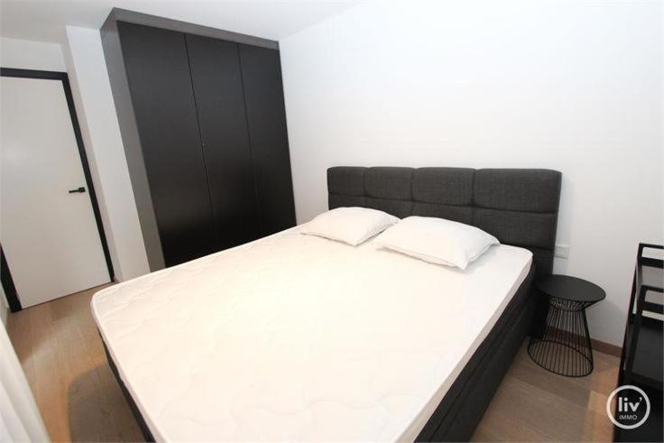 Appartement Spacieux A Knokke Екстериор снимка